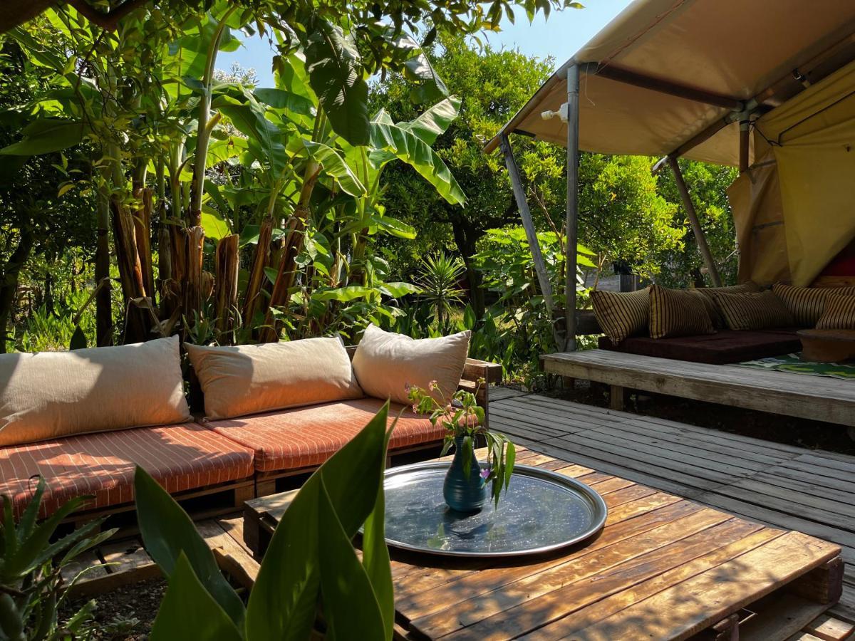 Campo Portakal Eco Glamping Hotel Cirali Exterior photo