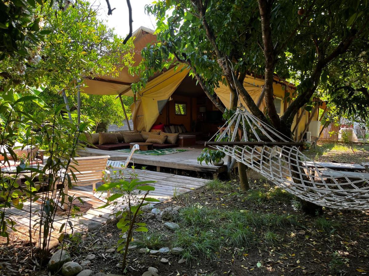 Campo Portakal Eco Glamping Hotel Cirali Exterior photo