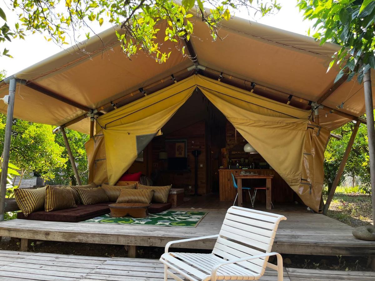 Campo Portakal Eco Glamping Hotel Cirali Exterior photo
