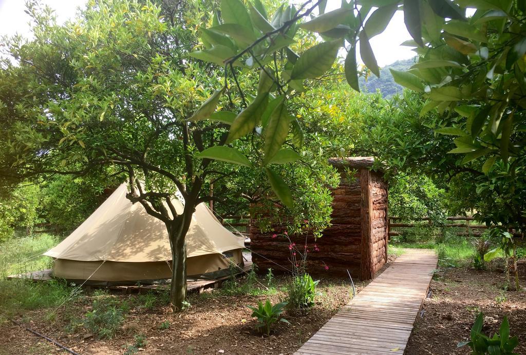 Campo Portakal Eco Glamping Hotel Cirali Exterior photo