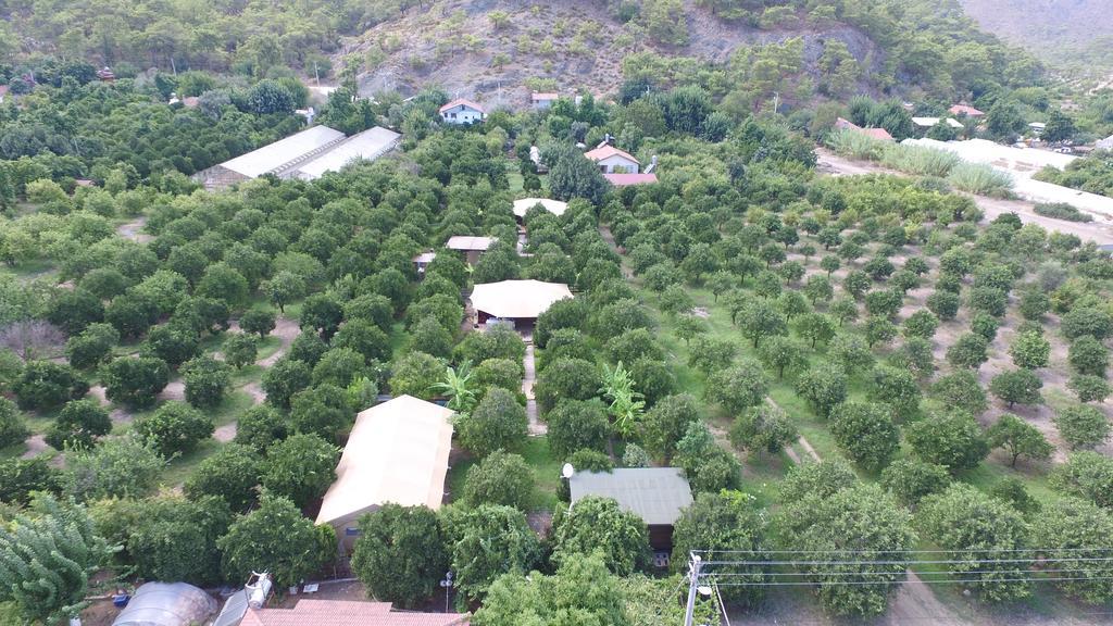 Campo Portakal Eco Glamping Hotel Cirali Exterior photo
